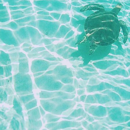 Thalassa Beach And Pool Villa Yoron Bagian luar foto