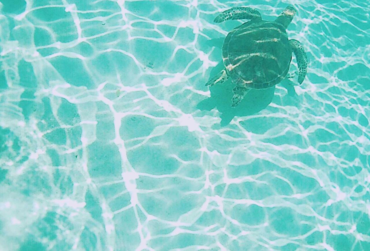 Thalassa Beach And Pool Villa Yoron Bagian luar foto