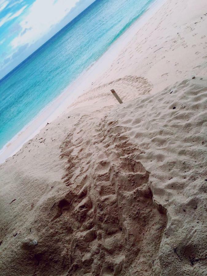 Thalassa Beach And Pool Villa Yoron Bagian luar foto